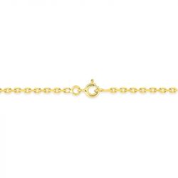 Chaîne forçat 2,25 mm edora diamantée or 375 ‰ jaune edo9kf70 - colliers-or-375-1000 - edora - 3