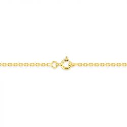 Chaîne forçat 1,60 mm edora diamantée or 375 ‰ jaune  edo9kf50 - colliers-or-375-1000 - edora - 2