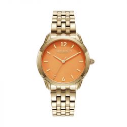 Montre Femme Olivia Burton Starlight acier doré 24000158