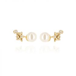 Boucles d'oreilles puces ZAG Bijoux Topo doré SEM27578-01SEL