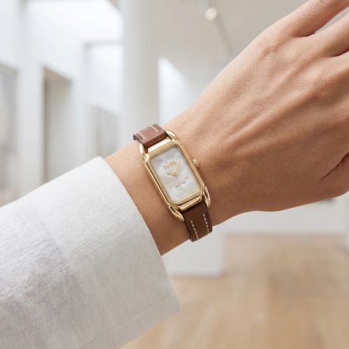 Montre Femme Coach Cadie cuir marron 14504028