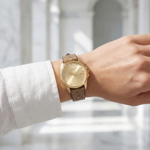 Montre Femme Coach Greyson cuir marron 14504107