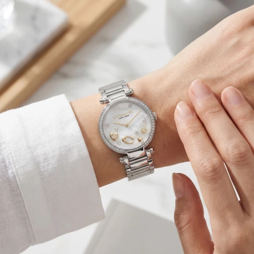 Montre Femme Coach Cary acier argenté 14504264