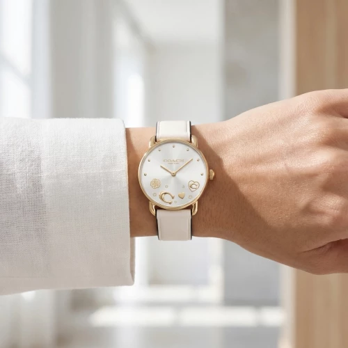 Montre Femme Coach Elliot cuir blanc 14504305