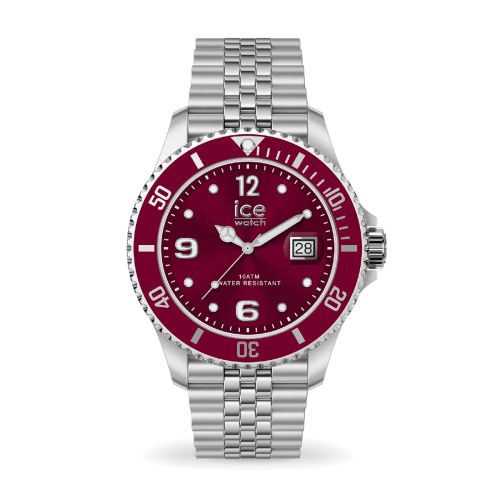 Montre Unisexe Quartz Ice Watch ICE steel Acier Bicolore 025912