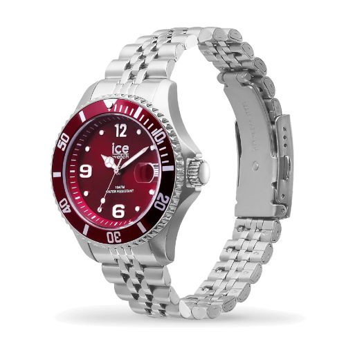 Montre Unisexe Quartz Ice Watch ICE steel Acier Bicolore 025912