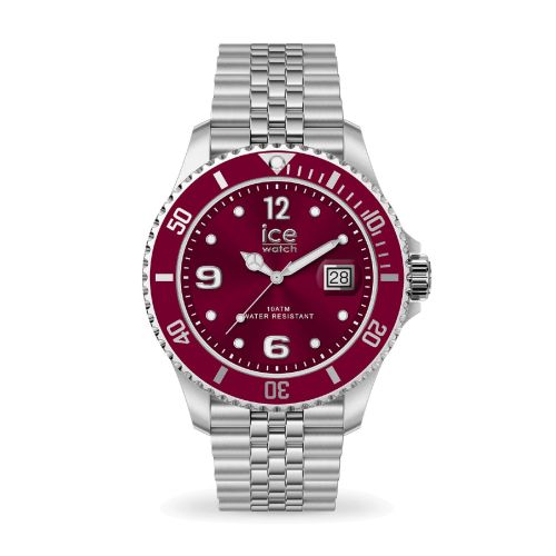 Montre Unisexe Quartz Ice Watch ICE steel Acier Bicolore 025915