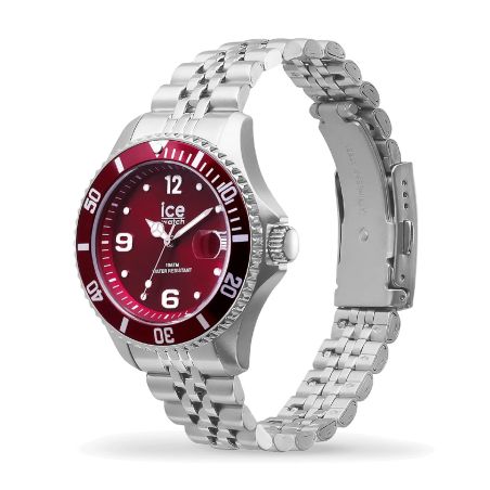 Montre Unisexe Quartz Ice Watch ICE steel Acier Bicolore 025915