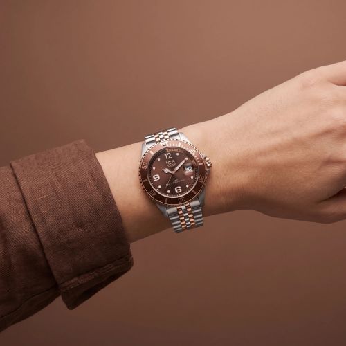 Montre Unisexe Quartz Ice Watch ICE steel Acier Bicolore 025914