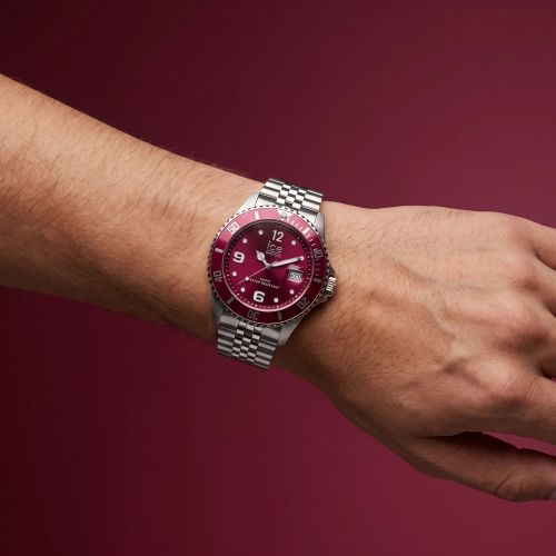 Montre Unisexe Quartz Ice Watch ICE steel Acier Bicolore 025912