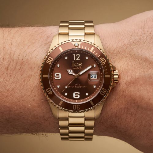 Montre Unisexe Quartz Ice Watch ICE steel Acier Bicolore 025911