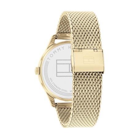 Montre homme tommy hilfiger damon acier doré – analogiques