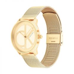 Montre femme calvin klein iconic mesh acier doré - montres-femme - edora - 1
