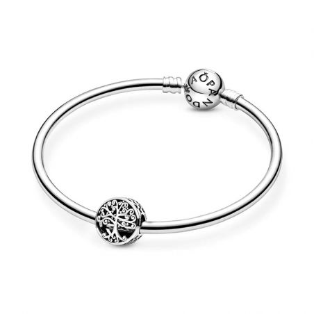 Accessoires pandora (17) - charms - edora - 2