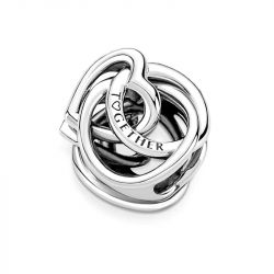 Charm femme pandora cŒur et cercles ma famille pour toujours argent 925/1000 - charms - edora - 1