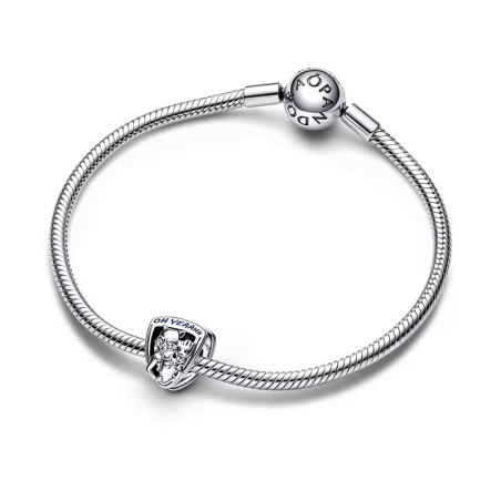 Charm femme pandora marvel les gardiens de la galaxie emblème rocket raccoon &amp; groot argent 925/1000 – charms