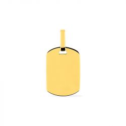 Médaille plaque edora or 375/1000 - medailles - edora - 0