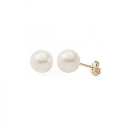 Boucles d'oreilles puces femme edora collection essential or 375/1000 perles de culture - puces - edora - 0