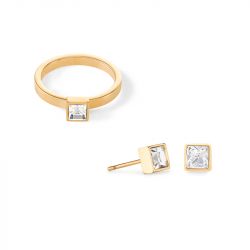 Boucles d'oreilles puces femme cŒur de lion acier doré cristaux blancs - puces - edora - 1