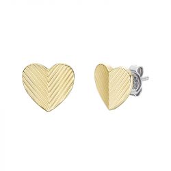 Boucles d'oreilles puces femme fossil harlow linear texture acier bicolore - puces - edora - 0