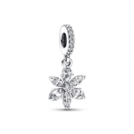 Accessoires pandora (11) - charms - edora - 1
