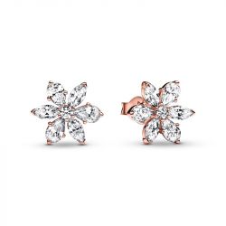 Boucles d'oreilles femme puces pandora timeless herbier scintillant 282407c01 - boucles-d-oreilles-femme - edora - 0