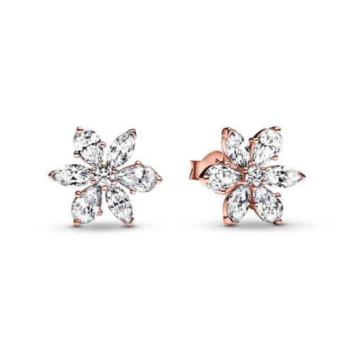 Boucles d'Oreilles Femme Pandora Timeless Herbier Scintillant 282407C01