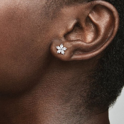 Boucles d'Oreilles Femme Pandora Timeless Flocon de Neige Scintillant 299239C01
