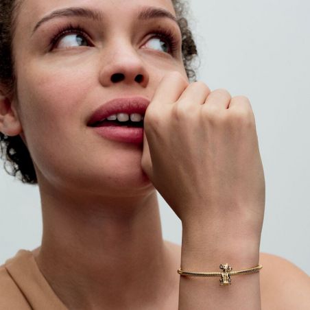 Pandora - charms - edora - 2