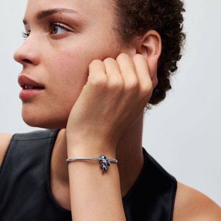 Accessoires pandora - charms - edora - 2