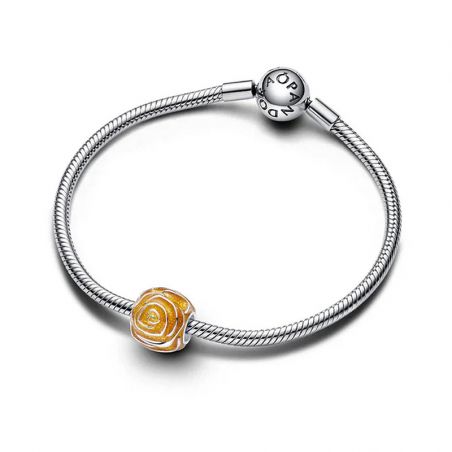 Pandora - charms - edora - 2