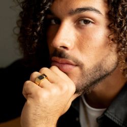 Bague homme phebus quentin acier doré et diamant 50100015 - bague argent & or homme, bague homme - - chevalieres - edora - 1