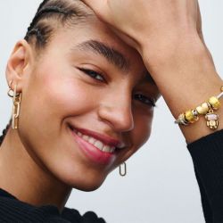 Charm pandora clip rangée scintillante incolore 761972c01 - charms - edora - 4