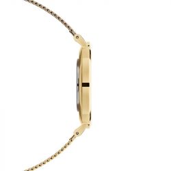 Montre femme daniel wellington petite evergold acier dw00100348 - analogiques - edora - 2