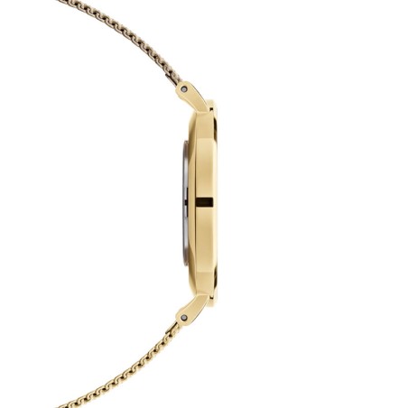 Montre femme daniel wellington petite evergold acier dw00100348 – analogiques