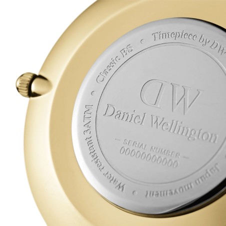 Montre femme daniel wellington petite evergold acier dw00100348 – analogiques