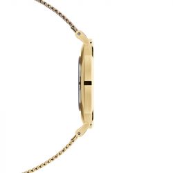 Montre femme daniel wellington petite evergold acier dw00100350 - analogiques - edora - 2