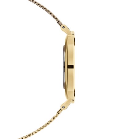 Montre femme daniel wellington petite evergold acier dw00100350 – analogiques