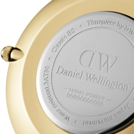 Montre femme daniel wellington petite evergold acier dw00100350 – analogiques