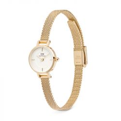 Montre femme daniel wellington petite mini evergold acier dw00100745 - analogiques - edora - 2