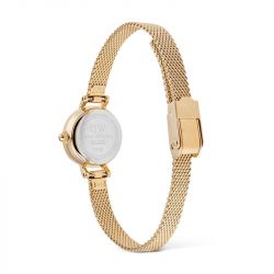 Montre femme daniel wellington petite mini evergold acier dw00100745 - analogiques - edora - 3