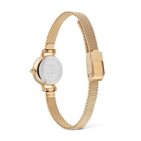 Montre femme daniel wellington petite mini evergold acier dw00100745 – analogiques
