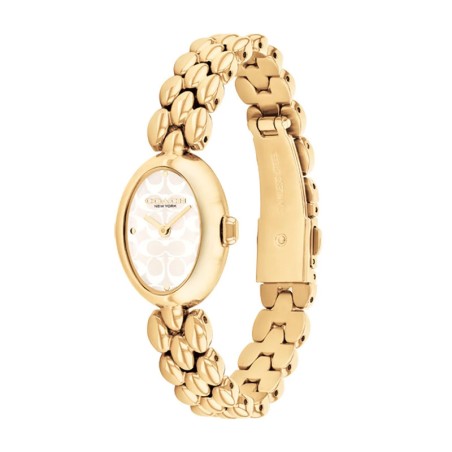Montre femme coach sammy acier doré 14504417 – analogiques