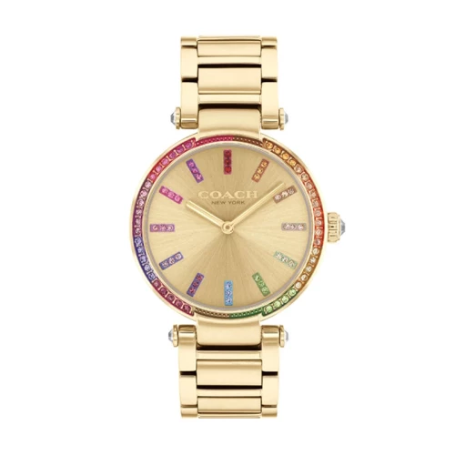 Montre Femme Coach Cary acier doré 14504271