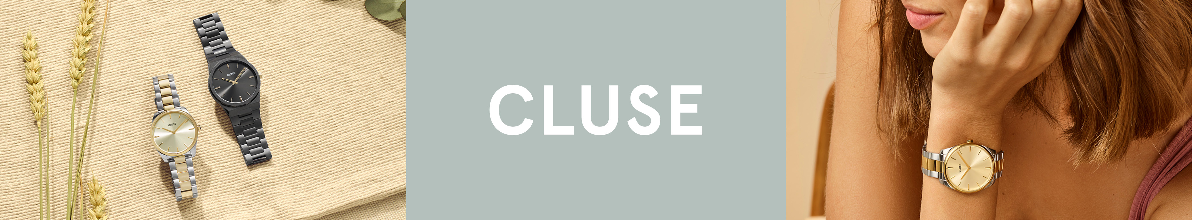 CLUSE